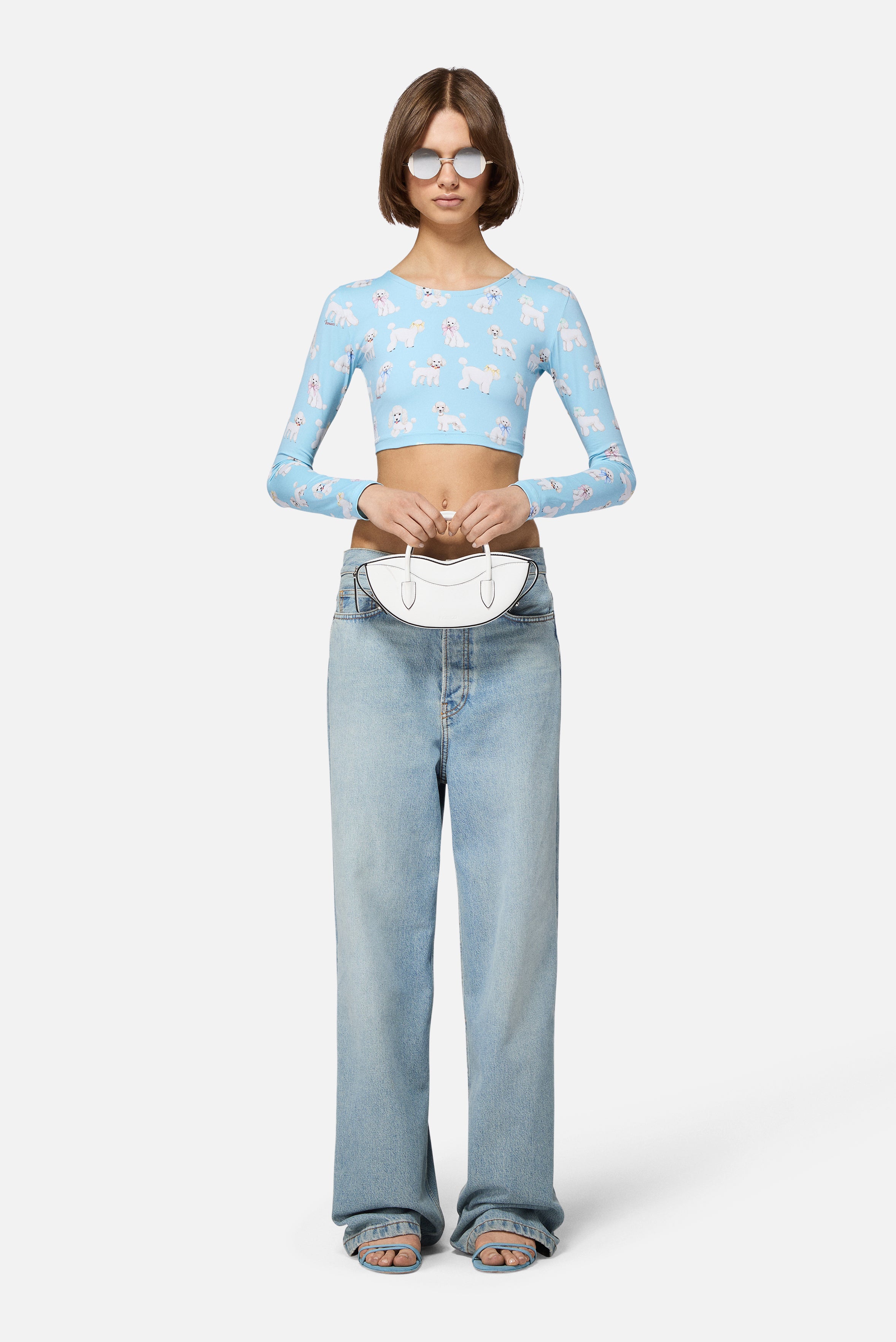 Poodle Print Long Sleeve Crop Top Light Blue